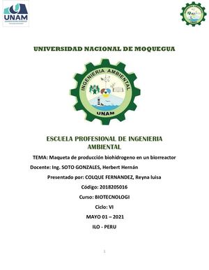 Maqueta Biohidrogeno