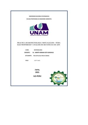 Informe De Practica sobre Electroforesis en gel de agarosa