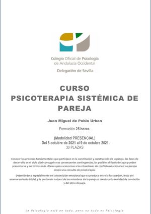 Curso Psicoterapia Sistemica De Pareja