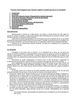 Teorias Criminologicas Que Intentan Explicar Delincuencia Sociedad