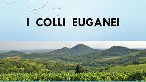 Ppt Colli Euganei