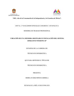 Memoria De Trabajo Profesional Mitzi Gabriela Sierra Juárez 3°iv