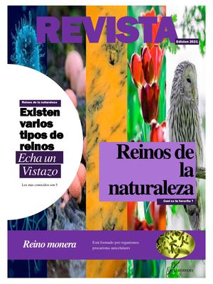 Revista 5 Reinos