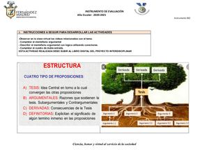 Mentefacto Argumental Del Bienestar Mundial Emely Lamiña Proyecto