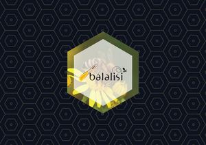 Hm Bal Katalog 2021 Asil