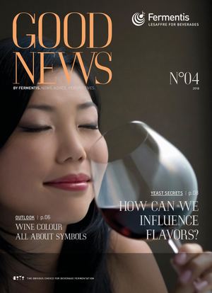 Goodnews #04 - 2018 - ENGLISH