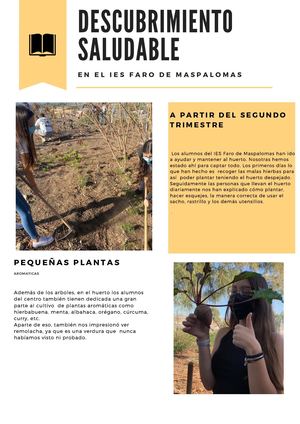 Reportajes Huerto Junio 2021