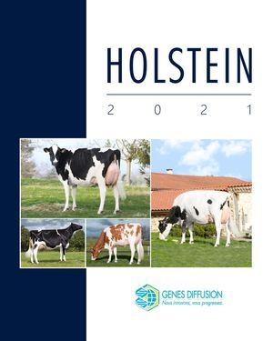 Catalogue Holstein 2020-2021