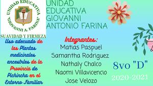 Cuadernillo Digital Grupo N6 8vo D