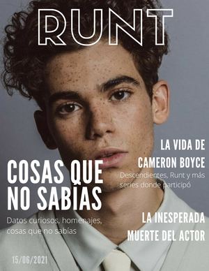 Runt Revista