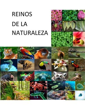 REINOS DE LA NATURALEZA.