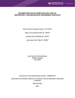 Informe De Laboratorio