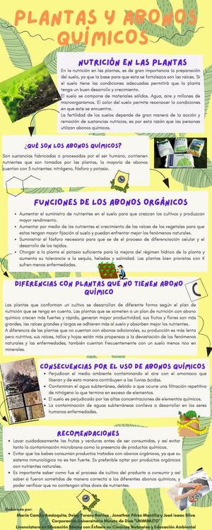 Infografía Plantas Y Abonos Químicos