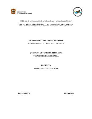 Memoria De Trabajo Profesional David Martinez Aburto