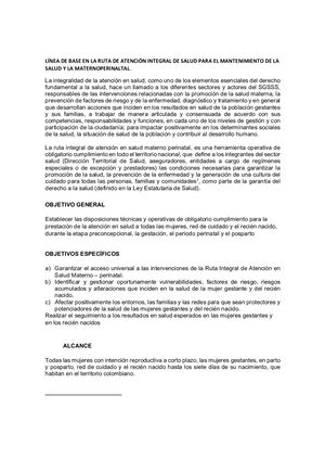 Lineamiento De Base Ruta Materno Perinatal