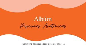 Album guía 7-Anatomía