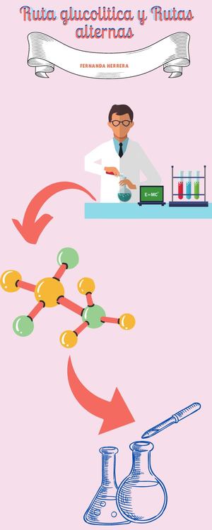 Rosa Y Azul ÍConos Sugerencias Caridad Infografía
