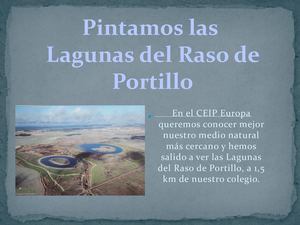 Las Lagunas Del Raso De Portillo