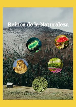 Reinos De La Naturaleza