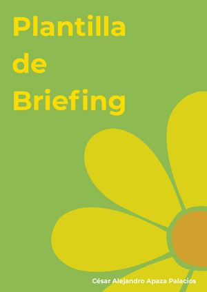Plantilla De Briefing Florerías Unidas