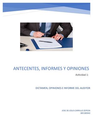 Antecedentes Generales (Dictamen Informe Del Auditor)