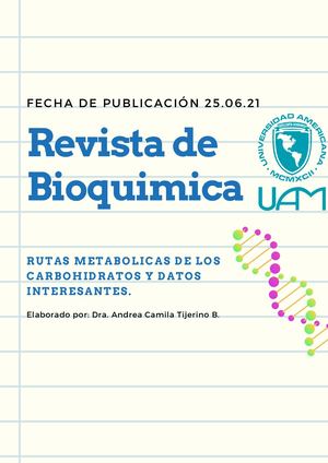 Rutas metabólicas de los carbohidratos