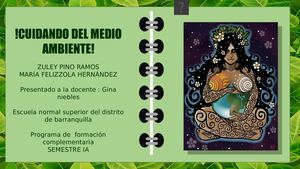 CUIDEMOS EL MEDIO AMBIENTE