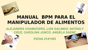 Manual De Bpm (3)
