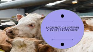 Sacrificio De Bovios CARTILLA