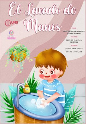 Lavado De Manos Portafolio