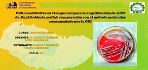 MAPA CONCEPTUAL DE ARTICULOS DE INGENIERIA GENETICA