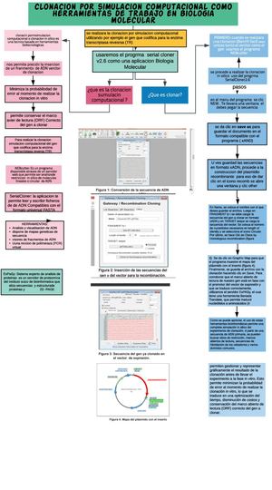 Simple Concept Map New Page
