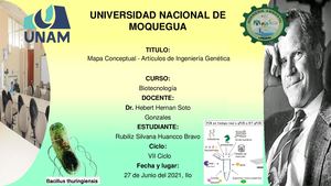 Mapa Conceptual Artículos De Ingeniería Genética