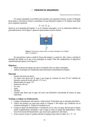 Experimento Principio De Arquimedes Para Fluidos