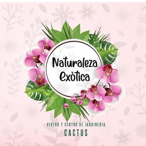 Naturaleza Exótica Folleto Cactus