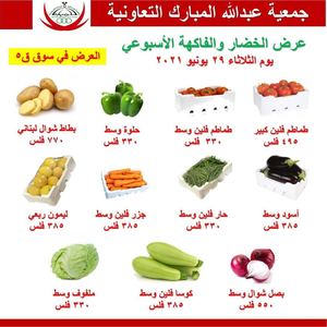 Tsawq Net Dam Coop Kuwait 29 6 2021