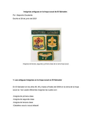 Insignias Antiguas En La Tropa Scout De El Salvador