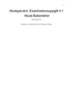 Akutsjukvård,case Anne Med Mekaniskt Ileus