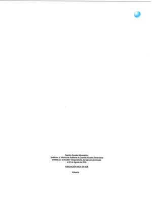 Informe Auditoría Cuentas 2019-2020
