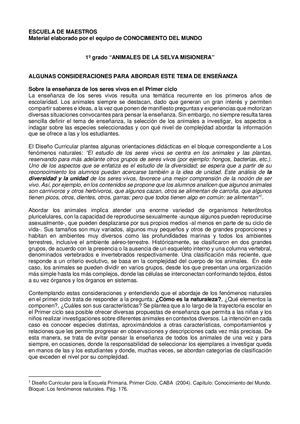 1ºgrado Animales De La Selva Misionera