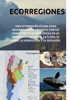 Ecorregiones.-
