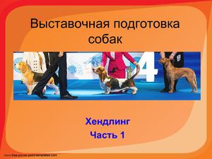 Хендлинг Часть 1