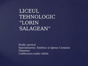 Prezentare Liceul Tehnologic "Lorin salagean"