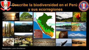 Clase 15 Las Ecorregiones Del Perú
