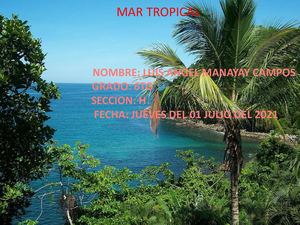 Mar Tropical