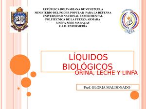 Clase Orina Leche Linfa