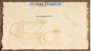 El Mar Tropical