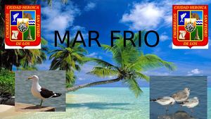 Mar Frio