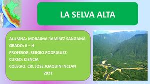 Selva Alta - CIENCIA Y TECNOLOGIA