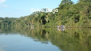Selva Baja